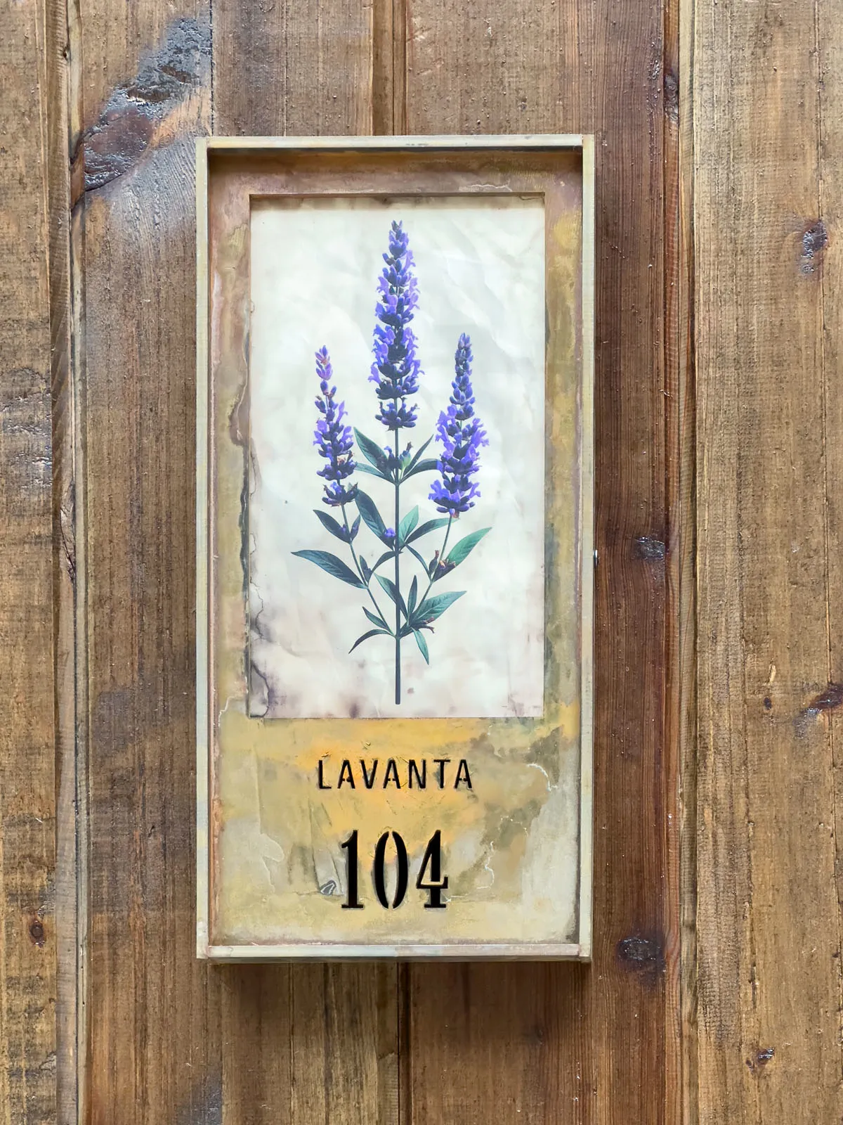 104 Lavanta